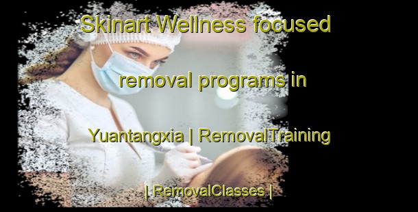 Skinart Wellness-focused removal programs in Yuantangxia | RemovalTraining | RemovalClasses | SkinartTraining-China